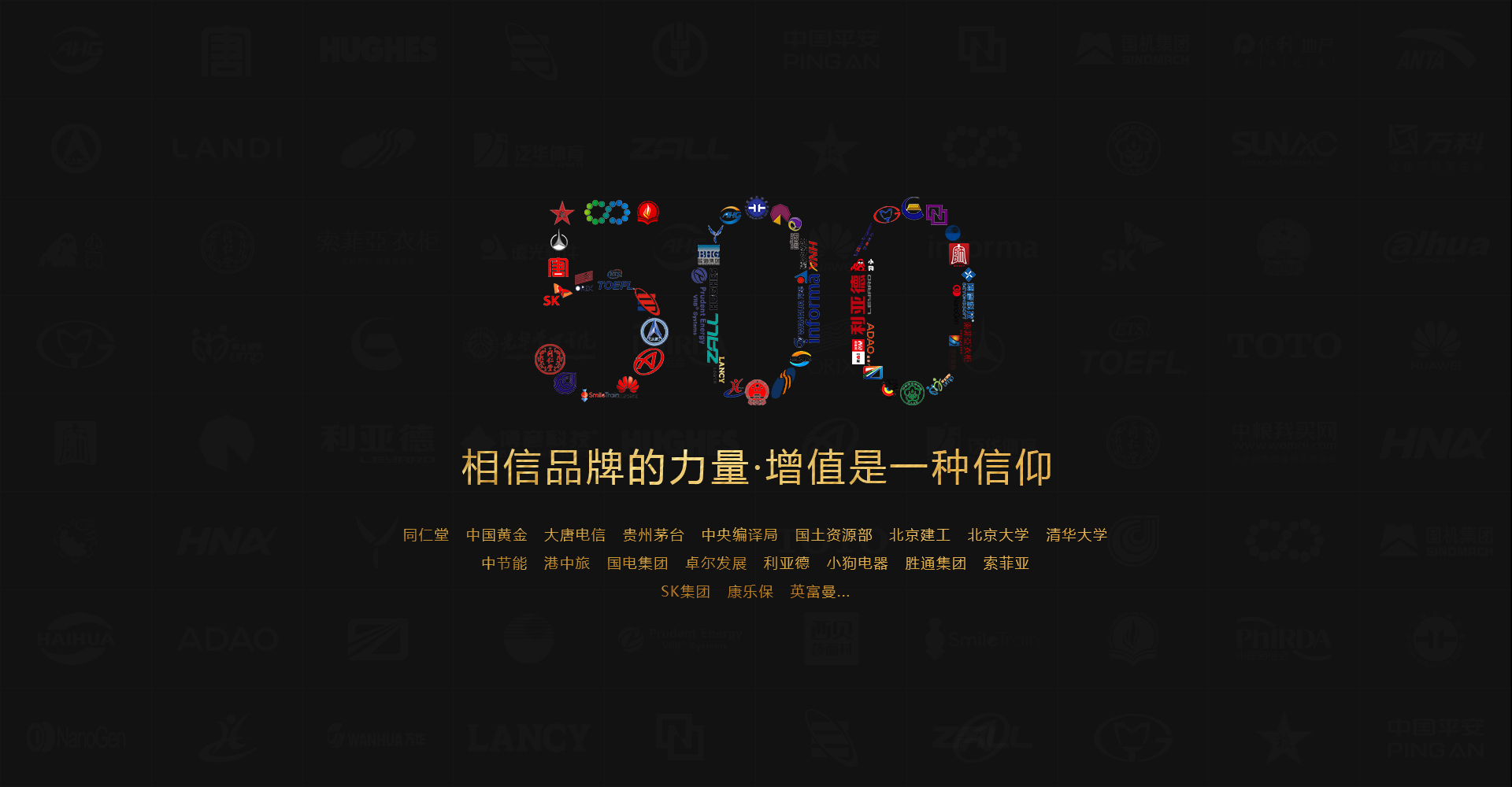 神州互动网站建设500强