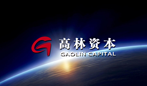 神州互动与高林资本合作官网建设项目